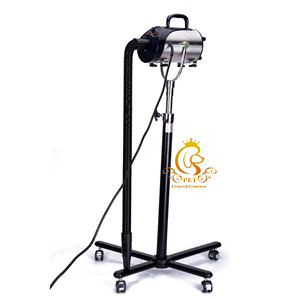 EUR Sèche-cheveux pour animaux de compagnie Sèche-cheveux professionnel Outils de toilettage Sèche-cheveux très résistant pour chien et chat <span class=keywords><strong>Salon</strong></span> de toilettage - Product Image 1