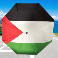 Parapluie Palestine, drapeau national, imperméable, pliable, 21 pouces, pour enfants, en tissu pongé, couleur et logo personnalisables
