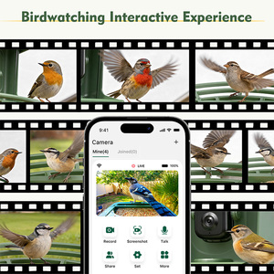 กล้อง AI Smart Bird Feeder ความละเอียด <span class=keywords><strong>4K</strong></span> UHD ใช้พลังงานแสงอาทิตย์ บ้านดูนกพร้อมระบบตรวจจับความเคลื่อนไหว PIR ควบคุมผ่านแอพ WiFi เหมาะสำหรับเป็นของขวัญ - Product Image 4