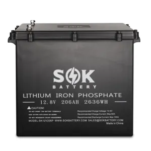 SOK 12V206ah casing plastik Bank baterai penyimpanan tenaga surya fosfat besi Lithium (LifePO4) dengan pemanas bawaan untuk peningkatan RV/Van