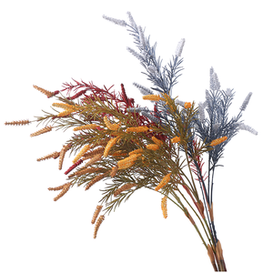 Cây Salvia và hoa scente - Product Image 2