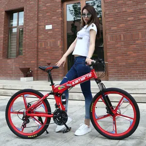 China Hoge Kwaliteit Op Maat 24 26 27.5 29 Inch Opvouwbare Oem Bicicleta 21 Speed Full Suspension Volwassenen Mountain Vouwfiets