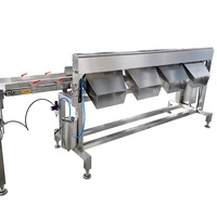 Automatische sorteer- en sorteermachine van roestvrij staal 304 voor fruit, vlees, kip, vis, met weegschaal en transportband, snelheid 150 stuks/min