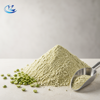 Poudre de protéines de pois végétalienne de qualité alimentaire pour la nutrition sportive, les substituts de repas et les boissons – Vente en gros