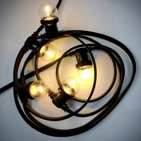G45 1W LED Ampoule décorative 110V 240V Ampoule définie par l'utilisateur G45 Plastic Wreath Lamp Filament Outdoor Light Chain