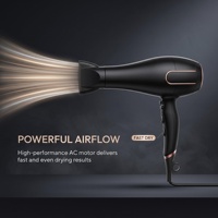 Sèche-cheveux professionnel de salon, moteur AC, ionique, 2000-2400W, 2 vitesses avec concentrateur et diffuseur