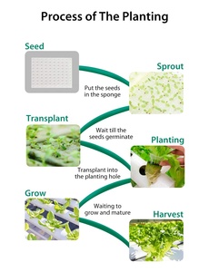 Hydroponic Grow Kit,<strong>3</strong> Layers 108 Plant Sites PVC Pipe Hydroponics 12 Pipes Hydroponics Growing <strong>System</strong> With Water Pump - Product Image 6