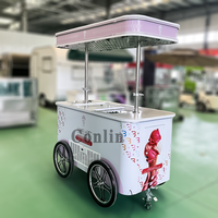 Chariot de vente ambulante pour glaces, avec congélateur à plaque froide, chariot à glaces mexicaines à pousser à la main, à vendre