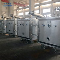 Secador por Vacío de Pulso YZG/FZG para Productos Químicos, Baja Temperatura, GMP, Frutas y Alimentos