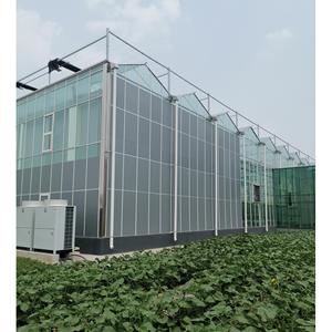Tùy chỉnh thủy tinh nông nghiệp cà chua nhà kính cho nông nghiệp - Product Image 4