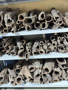 Racine d'arbre artificielle en liège naturel pour terrarium de reptiles, simulation de racine d'arbre, aquascape pour animaux de compagnie, lézard, araignée, scorpion, caméléon - Product Image 1