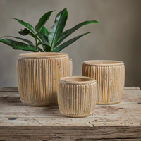 Pot Tanaman Semen Motif Bambu Minimalis Ramah Lingkungan dari Lianda Wholesale untuk Penggunaan di Rumah & Taman