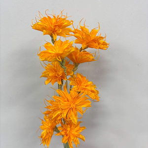 Fiori Secchi Naturali di Cereus a Fioritura Notturna, Bouquet Artigianale Multicolore, Decorazione Floreale per Matrimoni e Regali - Product Image 5