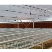 Serre tunnel en plastique multi-travées anti-UV pour tomates Fuma Sales