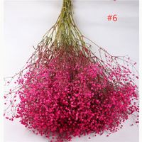 Pabrik grosir B-2570 yang diawetkan bunga bayi bunga Gypsophila untuk dekorasi rumah dan pernikahan