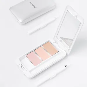 2023 Posealing bas quantité minimale de commande haute qualité 3 couleurs correcteur défaut Fit Me correcteur couverture complète crème correcteur