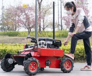 Cortacésped Robótico Pequeño de Última Generación con Control Remoto para Granja, Robot Cortacésped Automático con Cuchilla para Césped, Precio de Cortacésped Comercial Sencillo - Product Image 3