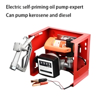 Pompe à diaphragme rouge OEM 12V 24V 300W à basse pression et grand débit 50L/M avec compteur pour carburant, diesel, kérosène, eau