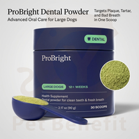 Polvo Dental para Mascotas de Marca Privada OEM ODM, Refrescante del Aliento para Perros, Limpiador Dental Probiótico con Algas Marinas, Romero y Suplementos Verdes
