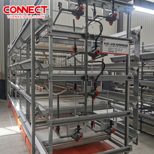 ฟาร์มสัตว์ปีกร้อยพันตัว ระบบให้อาหารไก่อัตโนมัติเต็มรูปแบบ ระบบกรงเลี้ยงไก่เนื้อแบบแบตเตอรี่ใหม่ โรงเรือนเลี้ยงไก่ - Product Image 3