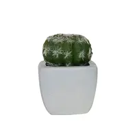 Zhongshan Supplier Plastic Succulent Plants Home Decoration Mini Cactus Potted