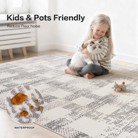 Vente directe d'usine Dsermer, tapis modernes nordiques pour le salon, grands tapis de sol, moquette pour salon, tapis pour la maison