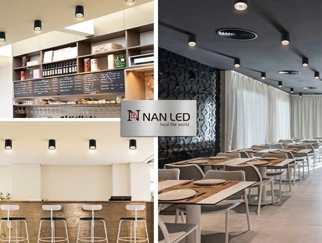 Modern Aluminum Led Downlight for Outdoor Light Waterproof Ip65 Ceiling Surface Lamp