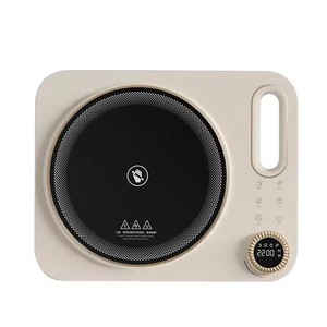 3500W Infrared Hot Plate 110V 220V Portable Induction Cooker With Timer and Temperature Adjustment High Power Cooking 2200W for - Product Image 5