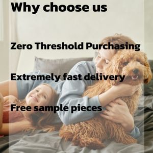 3-1 Kit de Teste Veterinário Instrumento para Gatos Combo Cartão Teste de Distemper/Hepatite/Influenza Combo Teste para Cães Felinos - Product Image 6