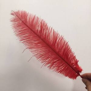 Plumes d'autruche douces de 30-35 cm, teintes en rouge, blanchies, aux couleurs vives, pour cosplay, carnaval, mascarade, Halloween, Noël, costumes et masques - Product Image 4