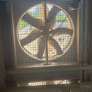 Jaula de Alambre Galvanizado Tipo H para Gallinas Ponedoras, 100000 Unidades, para Avicultura Comercial - Product Image 3