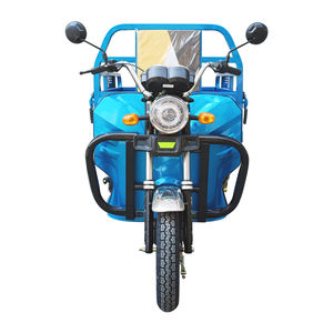 Factory EEC COC <strong>Electric</strong> Tricycle <strong>Trike</strong> 3 Wheel <strong>Motorbike</strong> for Farming Cargo Loading - Product Image 2