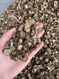 Tartufo Nero Naturale Essiccato di Nuova Raccolta per Alimenti e Tè a Prezzo all'Ingrosso - Product Image 5