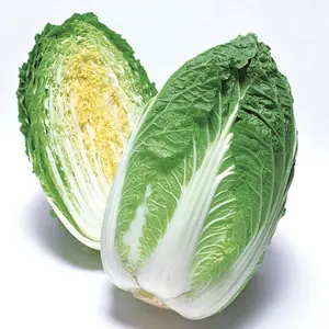 卸売 白菜-キャベツ最高品質お得なバルク冷凍中国600g-1500g 1コンテナフラット、ラウンドカートン新鮮な一般的な栽培