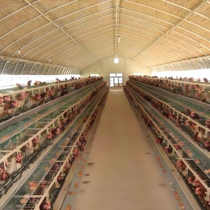 Azienda agricola di pollame casa ad arco Tunnel serra pellicola verde casa tenda con raffreddamento sistema di isolamento per il pollo vacca di allevamento di capra - Product Image 2