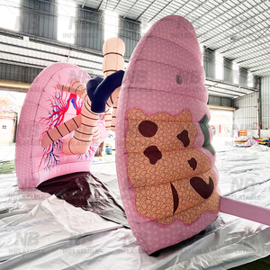 Modelo de Pulmón Inflable para Exhibición Médica y Publicidad, Órganos Humanos Grandes para la Conocimiento de la Salud, Modelo de Pulmón Inflable - Product Image 4
