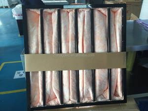 <span class=keywords><strong>Filter</strong></span> Udara <span class=keywords><strong>MICROGLASS</strong></span> POCKET Bag yang Dapat Disesuaikan untuk Unit Penanganan Udara, Unit Blower, Bangunan Komersial, dan Industri - Product Image 4