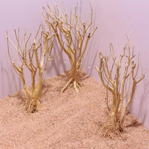 Stevige Duurzame Boomtak Gemakkelijk Schoon Te Maken <span class=keywords><strong>Diy</strong></span> <span class=keywords><strong>Aquarium</strong></span> Mos Tree Hoge Kwaliteit <span class=keywords><strong>Aquarium</strong></span> Drijfhout - Product Image 5