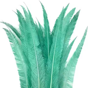 Proveedor líder al por mayor trabajo hecho a mano recortado barato rojo 35-65cm pluma <span class=keywords><strong>de</strong></span> avestruz Nandu para disfraces <span class=keywords><strong>de</strong></span> <span class=keywords><strong>Carnaval</strong></span> brasileño - Product Image 2