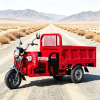 Tricycle électrique à trois roues rouge, benne basculante, tricycle de transport de marchandises robuste, tricycle électrique pour le transport agricole et le remorquage