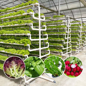 Système de culture hydroponique verticale NFT pour laitues en serre, avec canaux en PVC pour légumes-feuilles (blanc) - Product Image 1