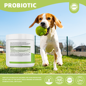 Golosinas Masticables Suaves para Perros OEM con Enzimas Digestivas de Calabaza y Probióticos, Suplemento de Fibra, Cuidado de la Salud y Suplementos para Mascotas - Product Image 3