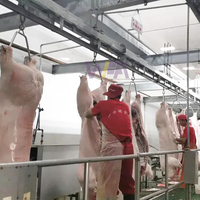 Vente directe en usine Ligne complète d'abattage de porcs clé en main Ligne d'abattoir de porcs Équipement d'abattoir de porcs