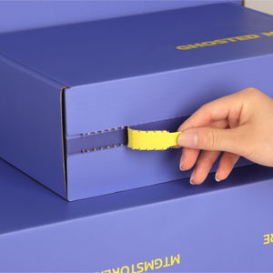 Custom color size garment airplane bra cloth scarf jar clothing cardboard Paper Packaging gift corrugated shipping mailer Box