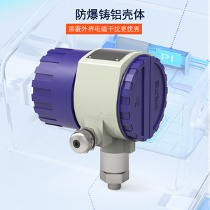 Manomètre numérique 100 mm -0,1 à 260 bars, antidéflagrant, avec contacts électriques - Product Image 5