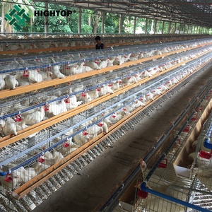 Jaulas ponedoras <span class=keywords><strong>de</strong></span> huevos <span class=keywords><strong>de</strong></span> pollo tipo A al mejor precio <span class=keywords><strong>para</strong></span> avicultura galvanizado en caliente disponible <span class=keywords><strong>para</strong></span> la venta en Filipinas - Product Image 3