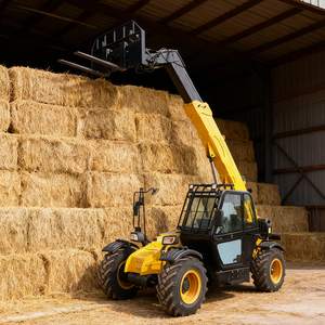 Eccellente Efficienza Energetica, <span class=keywords><strong>Movimentatore</strong></span> Telescopico per Magazzino/Logistica, Gru Telescopica per Carrello Elevatore - Product Image 1