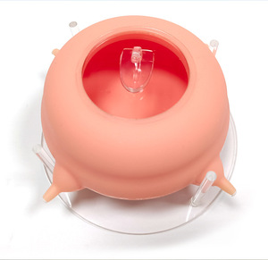 Bán buôn tự động <span class=keywords><strong>Cat</strong></span> Puppy Dog Pet Silicone tưới nước núm vú - Product Image 5