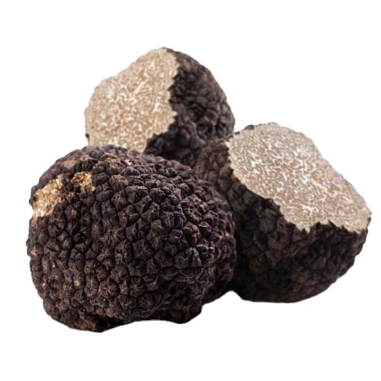 Doğal Truffle mantar çin vahşi taze siyah mantar Truffle