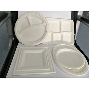 Vente en gros Assiette carrée en pâte à papier biodégradable et compostable écologique - Product Image 6